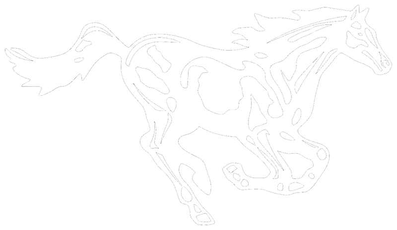 Medford Mustangs running horse logo - American Legion Baseball, Medford, Oregon